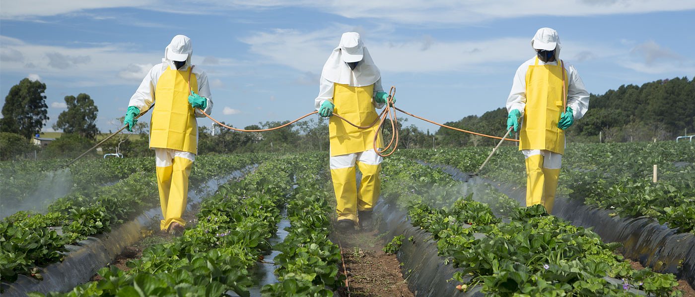 Εγκύκλιος ΕΦΚΑ για την χορήγηση ασφαλιστικής ικανότητας σε εργάτες γης
