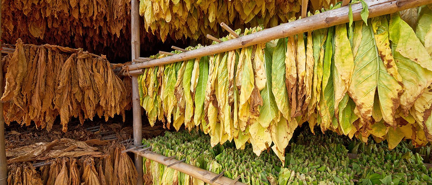 Δικαίωση καπνοπαραγωγών, αν δεν πάνε  Άρειο Πάγο οι τράπεζες θα μοιραστούν 4,8 εκ. ευρώ