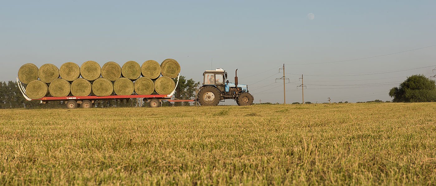 Σε πολύ υψηλά επίπεδα οι τιμές για τα τριφύλλια, υποτονική η ζήτηση