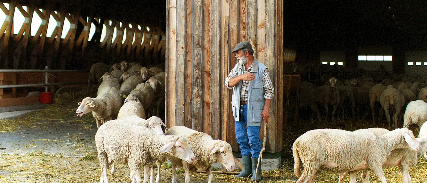 Στη Βουλή νέος νόμος για άδειες στάβλων, δικαιολογητικά άδειας ίδρυσης