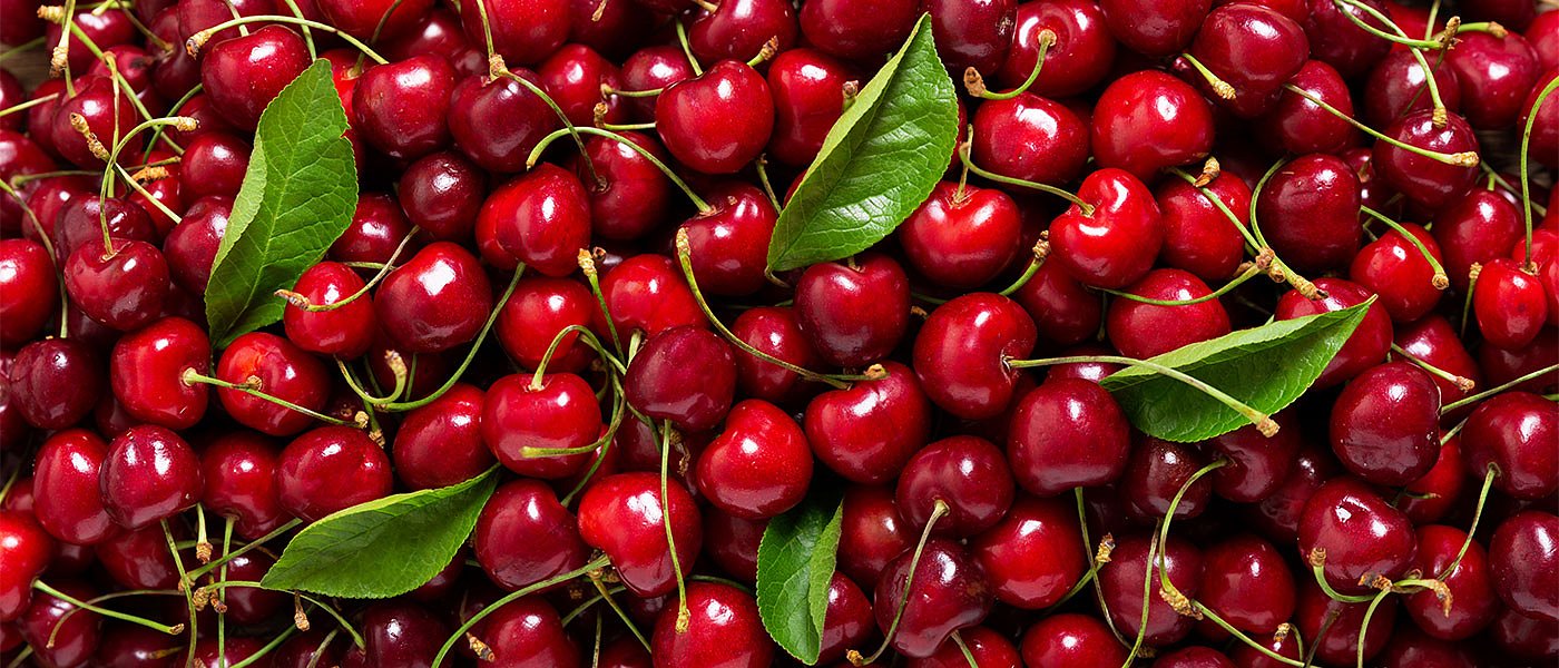 Αυξημένη η παραγωγή κερασιού διεθνώς το 2022-2023, σύμφωνα με το USDA