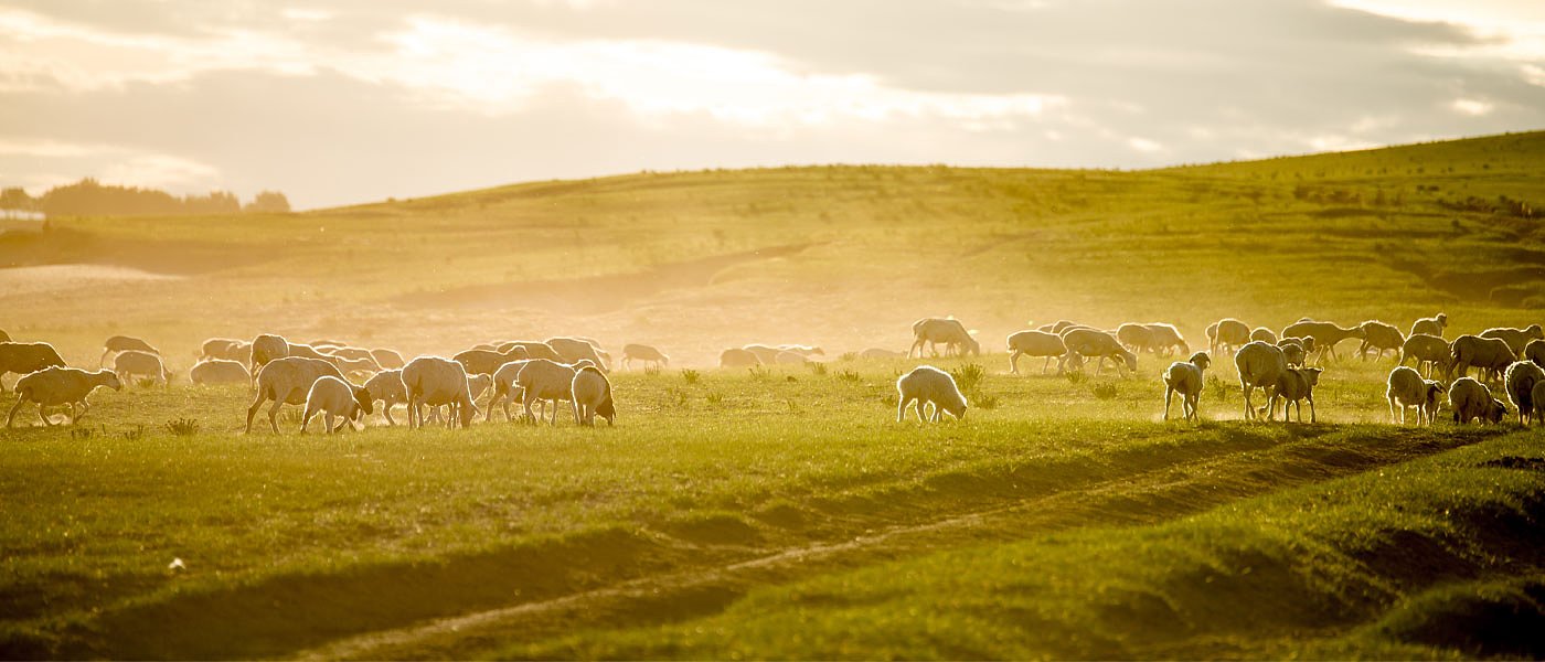 Έρχονται οριζόντιες παρεμβάσεις για τους δασικούς χάρτες, πρόβλημα με τα βοσκοτόπια