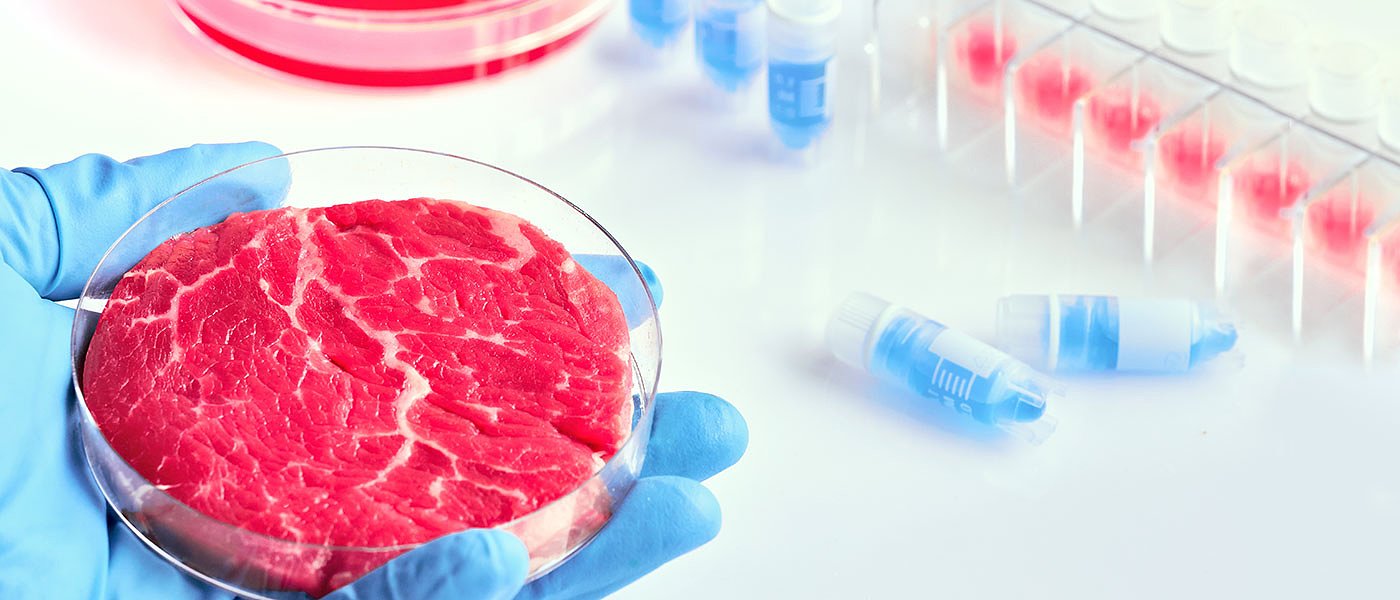 InnoMeatEdu: Συνδέοντας την ακαδημαϊκή κοινότητα με τη βιομηχανία κρέατος