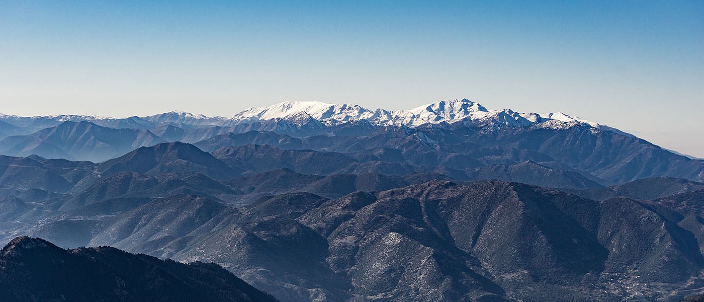 Δασαρχείο Πύργου και Διεύθυνση Δασών Ηλείας: Ποιος τελικά είναι ο θεσμικός τους ρόλος;