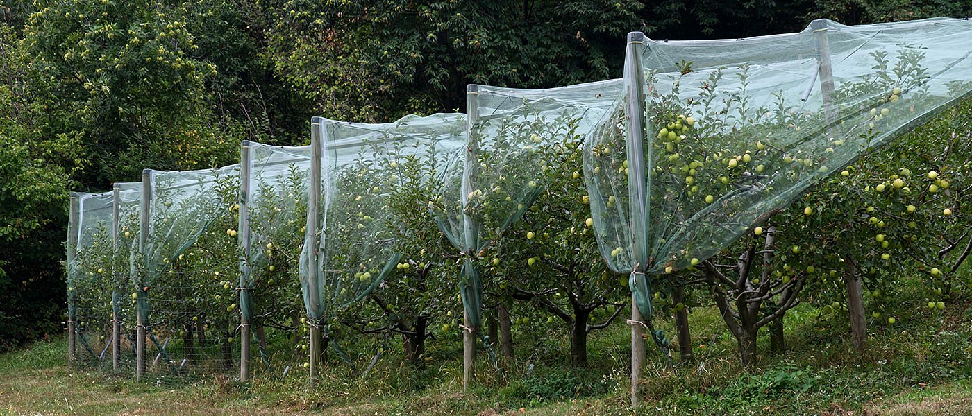 Αλλαγές στην κατασκευή διχτυοκηπίων, αξιοποίηση ΑΠΕ και διαδικασία εγκατάστασης