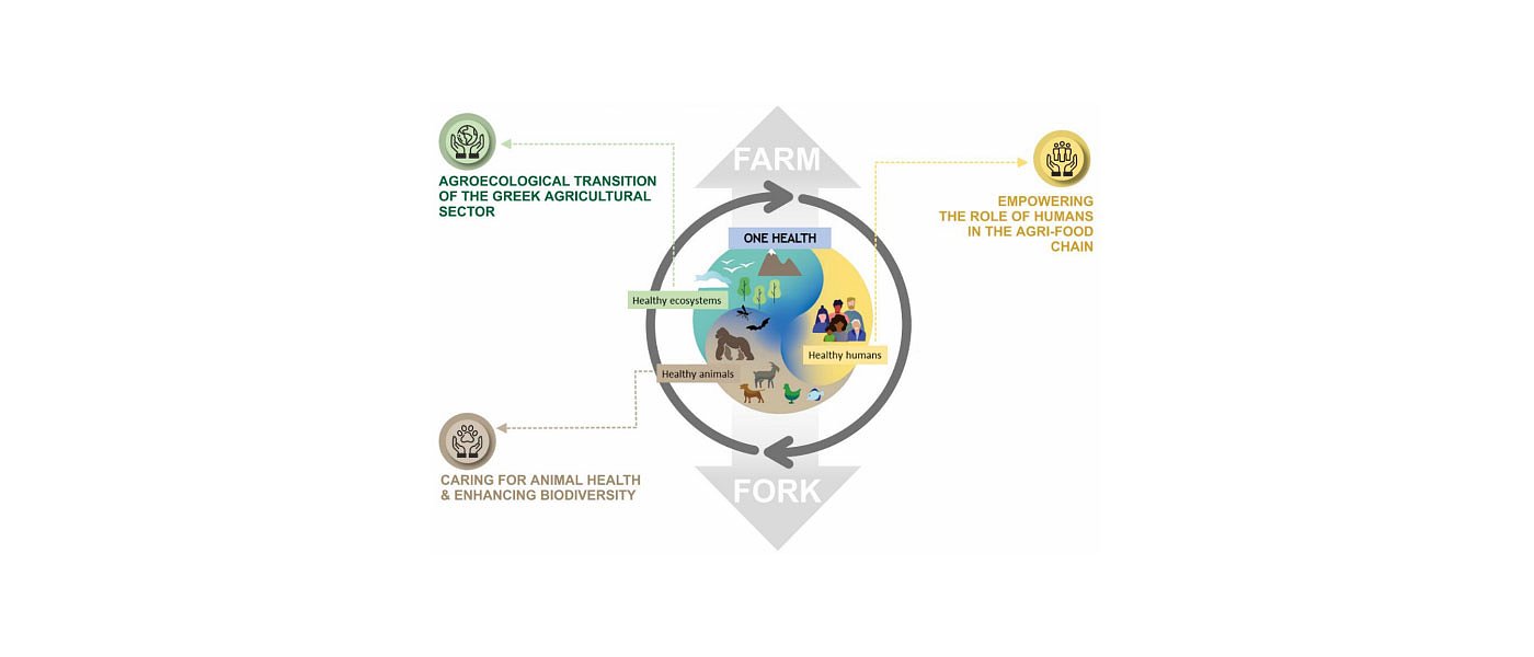 ONE GREEN: Το πρώτο Ελληνικό δίκτυο για αγροοικολογικές πρακτικές