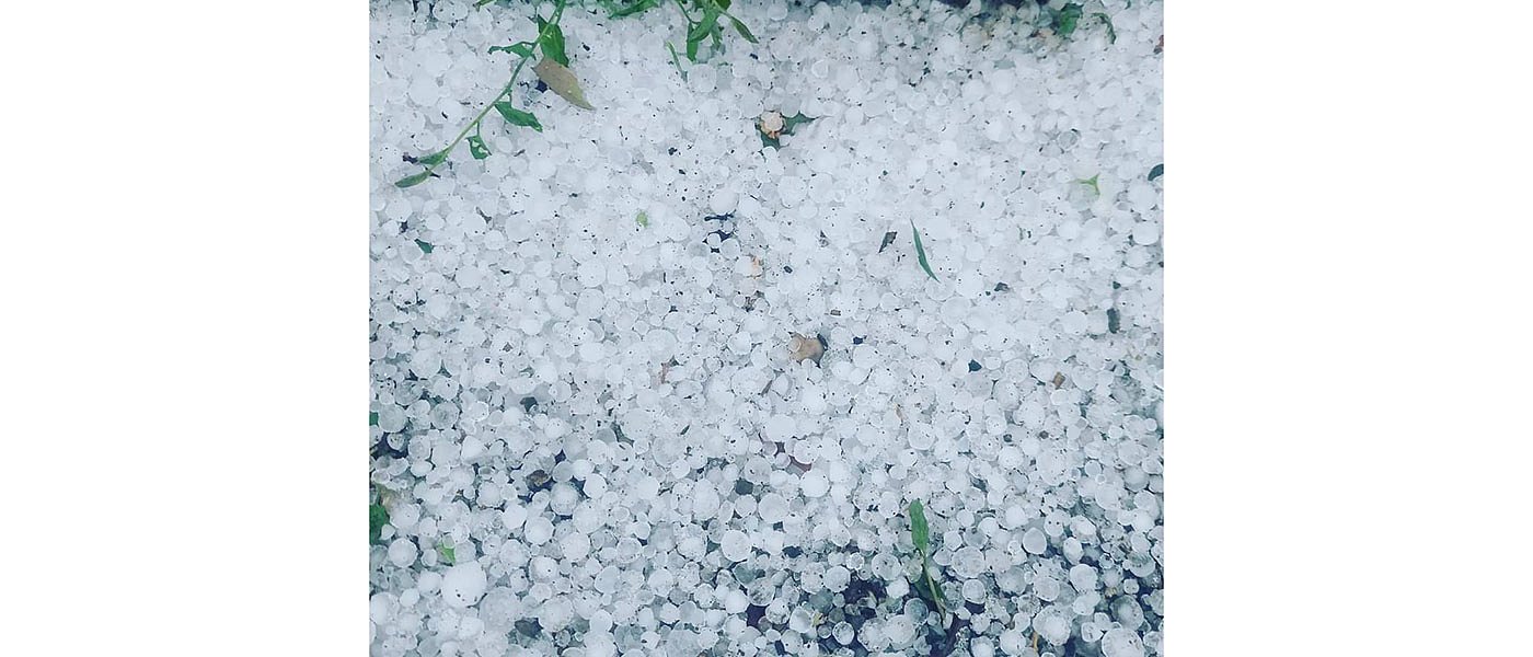 Χαλάζια και βροχές χτύπησαν καλλιέργειες και στην Ήπειρο, καταγραφή ζημιών ζητά η ΕΘΕΑΣ