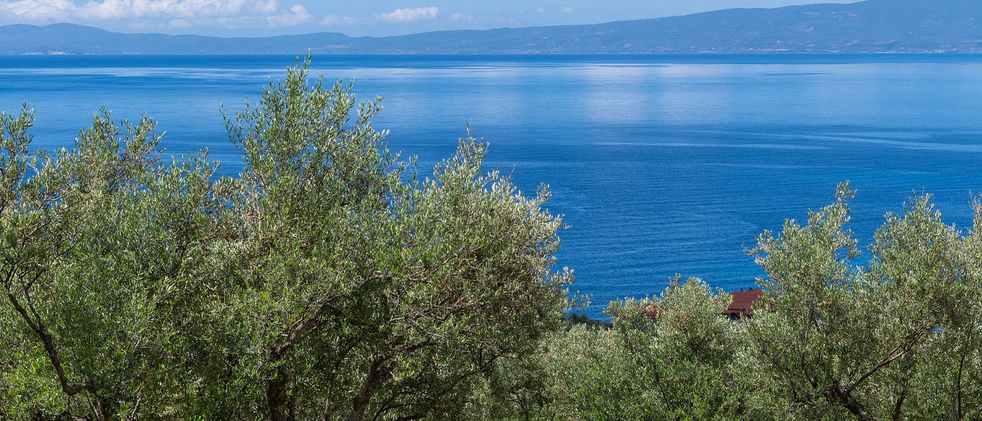 Ένας νέος Αγροτικός Σύλλογος για παραγωγούς ελιάς Καλαμών ιδρύεται στην Αιτωλοακαρνανία