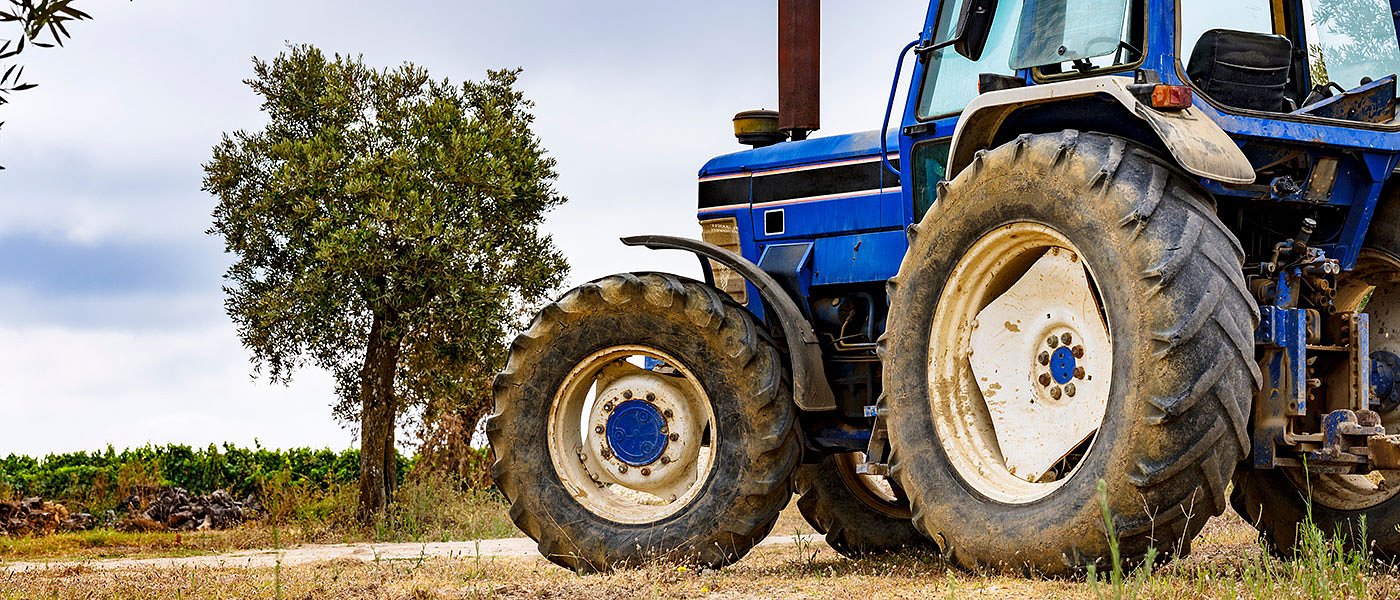 Ιδιωτική δακοκτονία δίνει 35 ευρώ/στρέμμα και φυτοπροστασία στα εσπεριδοειδή 17,5 ευρώ