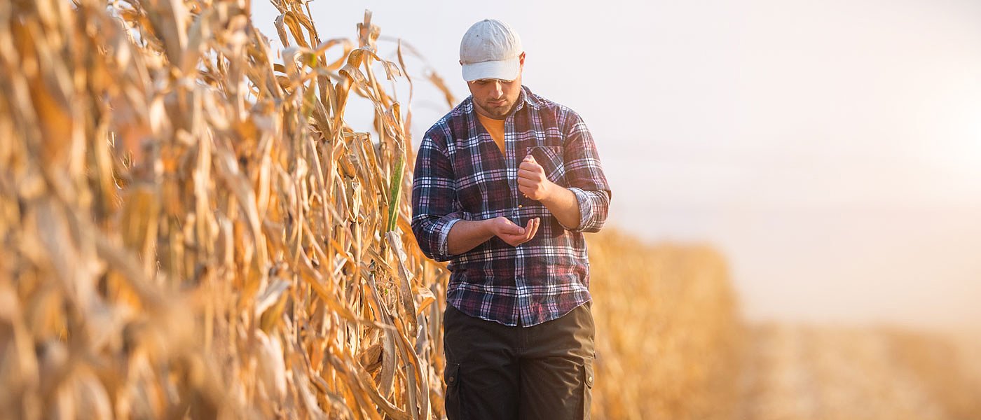 Το timologio της ΑΑΔΕ, ένα καλό εργαλείο για αγρότες και μικρές επιχειρήσεις