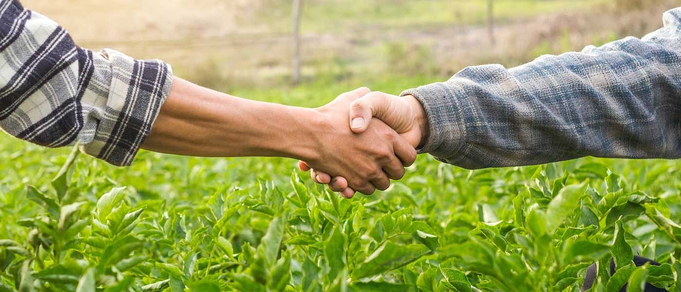 Έρχεται βροχή δικαστικών ενεργειών κατά αγροτών με κόκκινα δάνεια το Φθινόπωρο