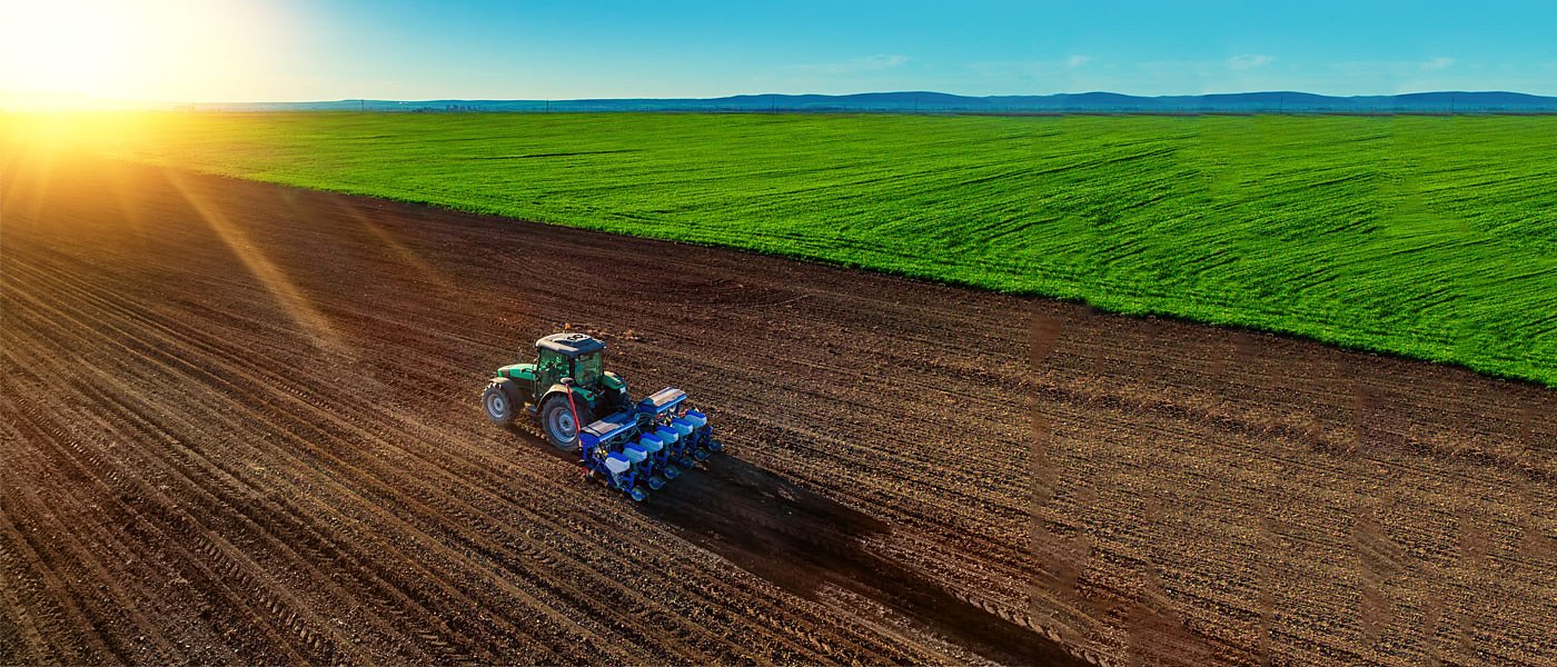 Με άσχημη ψυχολογία γίνονται οι σπορές βαμβακιού, φέτος δεν έχει πριμ άνθρακα 31,7 ευρώ