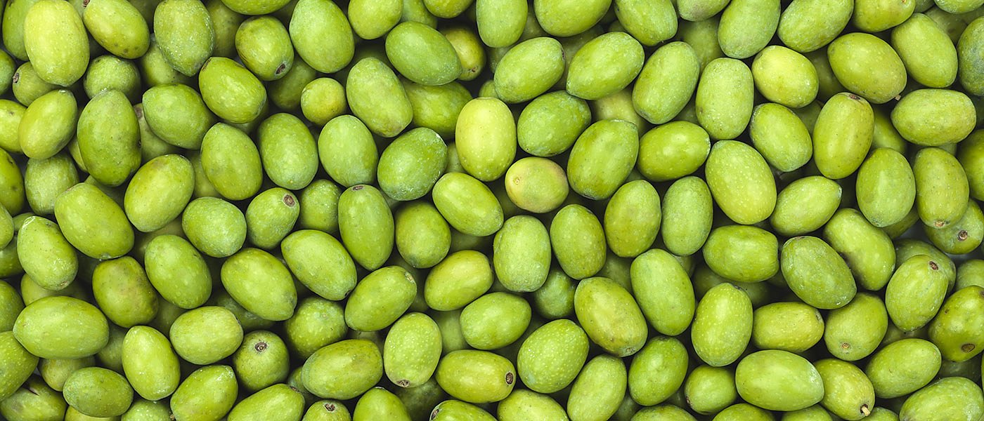 Νέος τιμοκατάλογος για ελιές Χαλκιδικής, μη βιώσιμες και οι φετινές τιμές