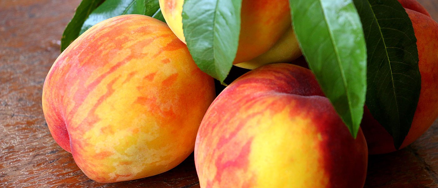 Αναδιάρθρωση καλλιεργειών ροδακινιάς με ποικιλίες που δεν έχουν υψηλές απαιτήσεις ψύχους