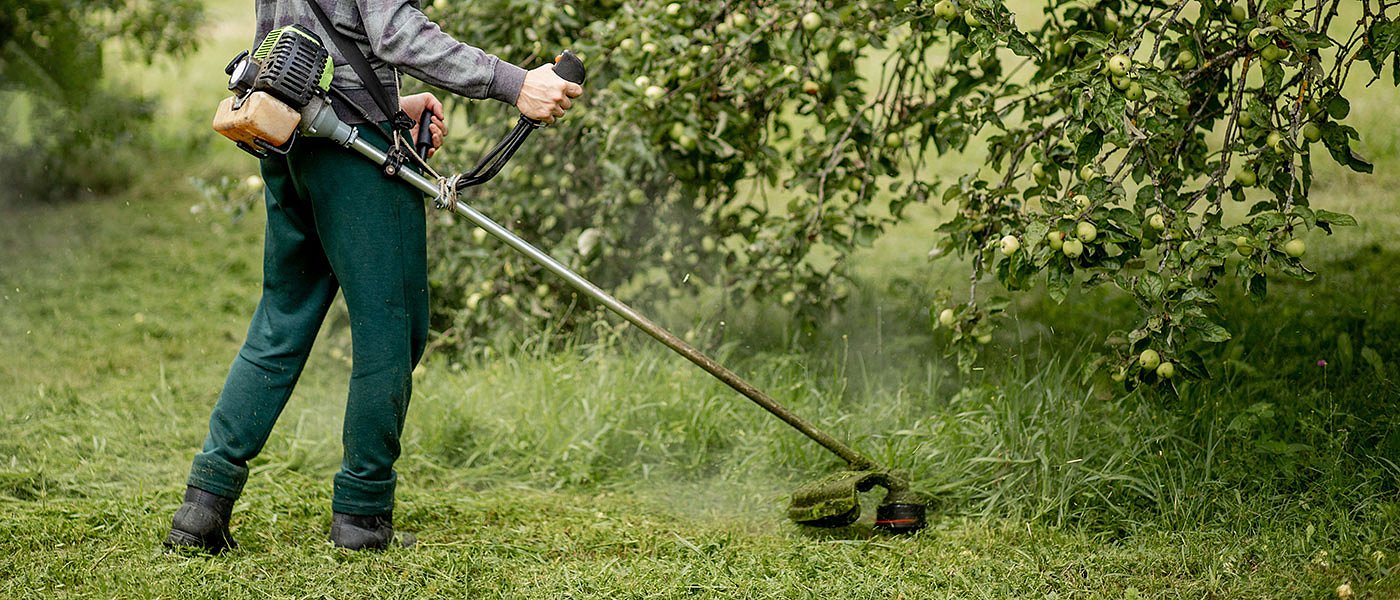 Παράταση μέχρι 30 Ιουνίου πήρε ο καθαρισμός πυροπροστασίας, τι αφορά και τα πρόστιμα