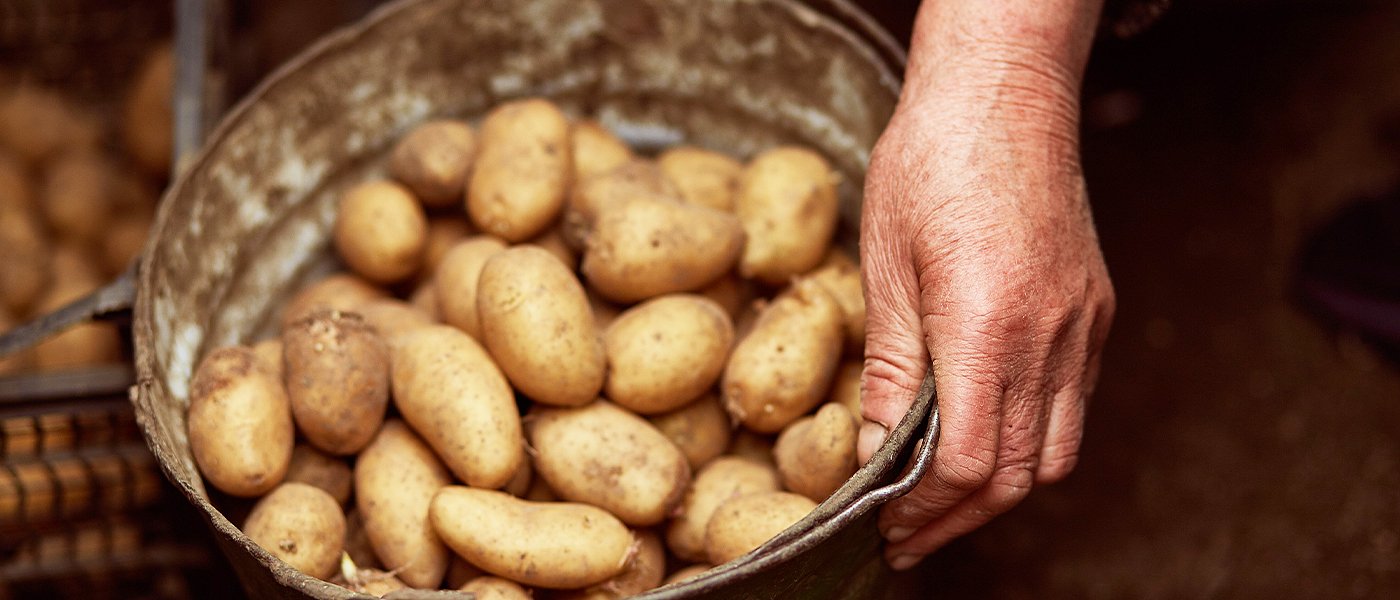 Μέσα στην εβδομάδα αιτήσεις για κορονοενίσχυση πατάτας, 10 έως 18 λεπτά τιμές παραγωγού