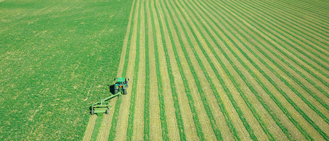 Τιμές και προβλήματα εμπορίας στην μηδική, φέτος πριμ συνδεδεμένης με καρτελάκι