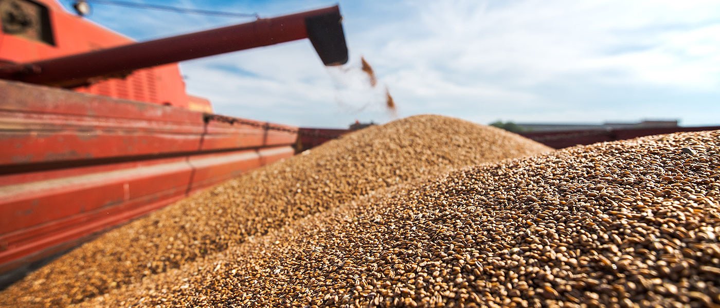 Πληρωμή προκαταβολής στο κριθάρι και το σκληρό σιτάρι εσοδείας 2025