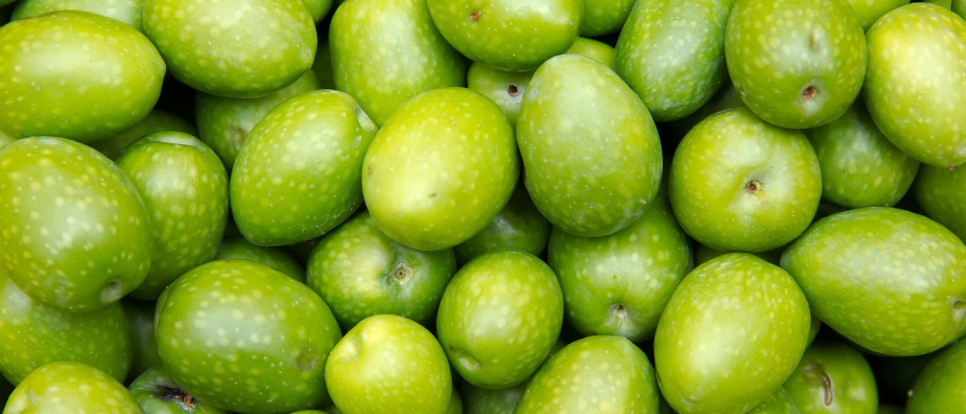 Με ανοδικές τάσεις οι τιμές στην ελιά Χαλκιδικής, σε έλλειψη τα καλά μεγέθη