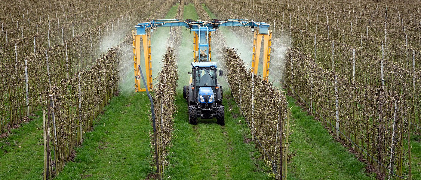 Η ΕΕ απαγόρευσε τη δραστική ουσία phosmet, συστάσεις από εξαγωγείς για μη χρήση της