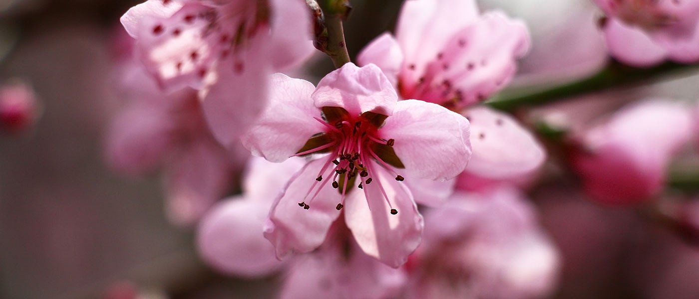 Αιτήσεις ένταξης στην παράταση του Κομφούζιο για τα 45,4 ευρώ που τους χρωστάνε