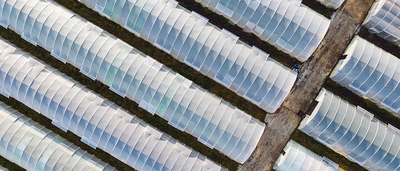 Φεβρουάριο πρόσκληση για επενδύσεις σε θερμοκήπια, στόχος αύξηση καλλιεργειών λέει ΥπΑΑΤ