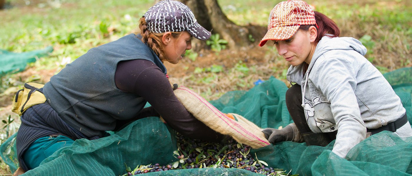 Δόθηκε παράταση στις διοικήσεις Αγροτικών Συνεταιρισμών και σε αιτήσεις για εργάτες γης