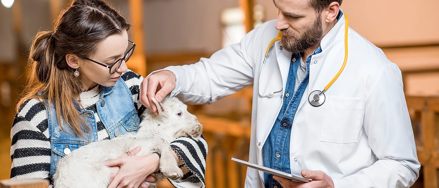 Στο ΦΕΚ το επίδομα επικίνδυνης και ανθυγιεινής εργασίας δημοτικών κτηνιάτρων