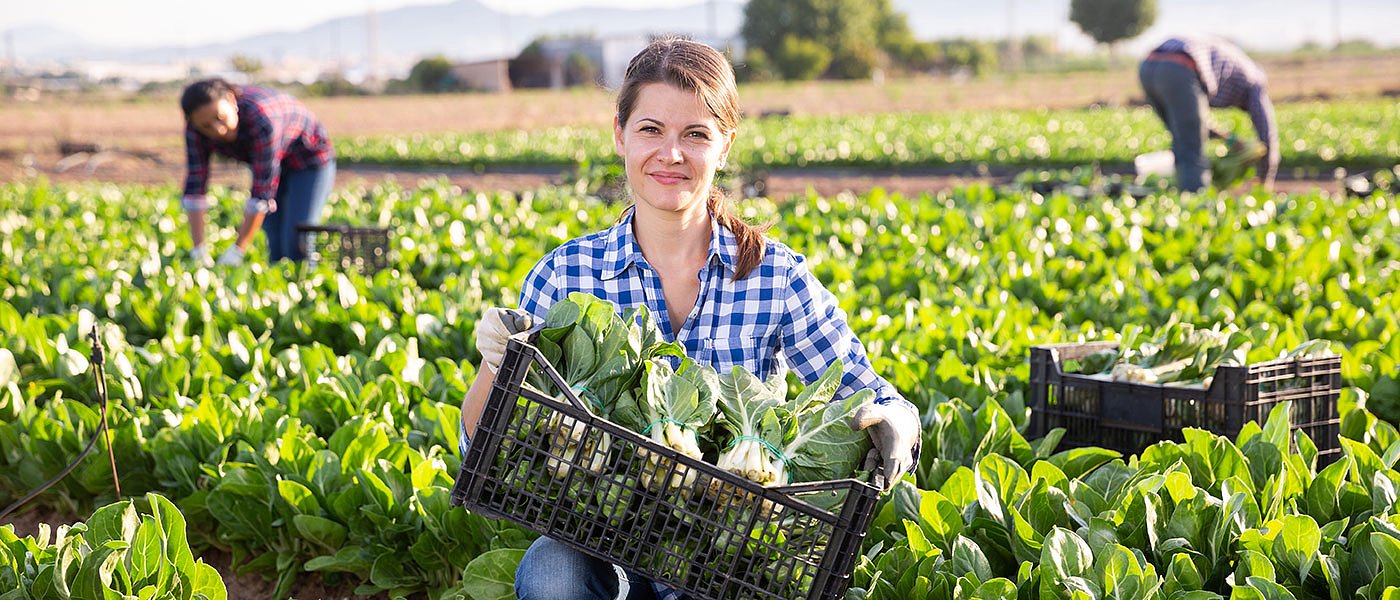 Πότε ανοίγει η μεταποίηση, το 2023 καινούργιο πρόγραμμα για νέους αγρότες