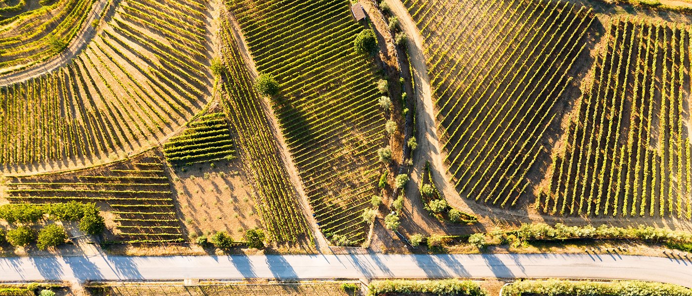 140.000 δηλώσεις ΟΣΔΕ δεν έχουν οριστικοποιηθεί λόγω ΑΤΑΚ, αίτημα αλλαγής στην απόδειξη κατοχής αγροτεμαχίου