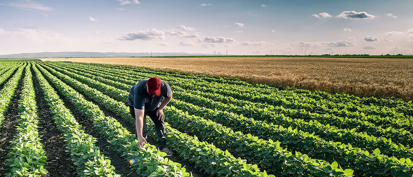 Ξεμπλοκάρουν οι αγροτικές ενισχύσεις, λέει ο πρωθυπουργός και ανακοίνωσε χρονοδιάγραμμα πληρωμών από ΟΠΕΚΕΠΕ