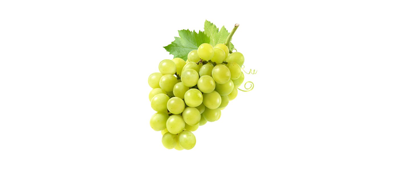 Πρόβλημα σήψης σε σταφύλι από Βοτρύτη