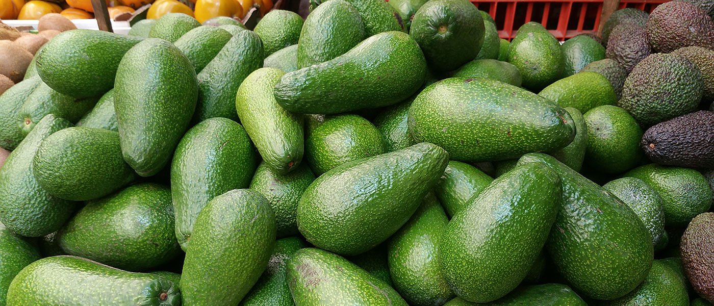 Αβοκάντο: πώς εξελίσσεται η καλλιέργεια και τι δείχνει η αγορά