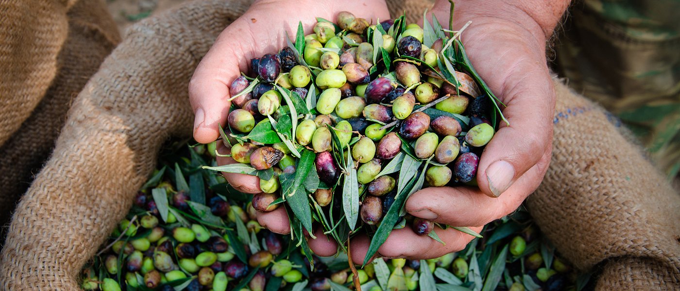 Διορθώσεις αδικιών για τις κορονοενισχύσεις υπόσχεται ο Λιβανός