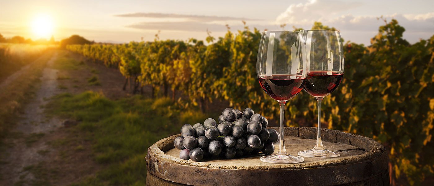 Αιτήσεις αμπελουργών για νέες φυτεύσεις, τι δικαιολογητικά χρειάζονται