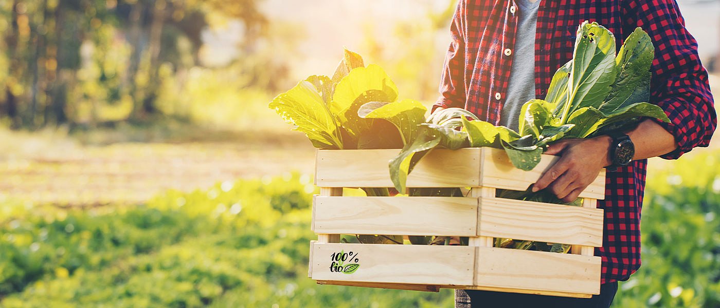 Commission presents actions to boost organic production