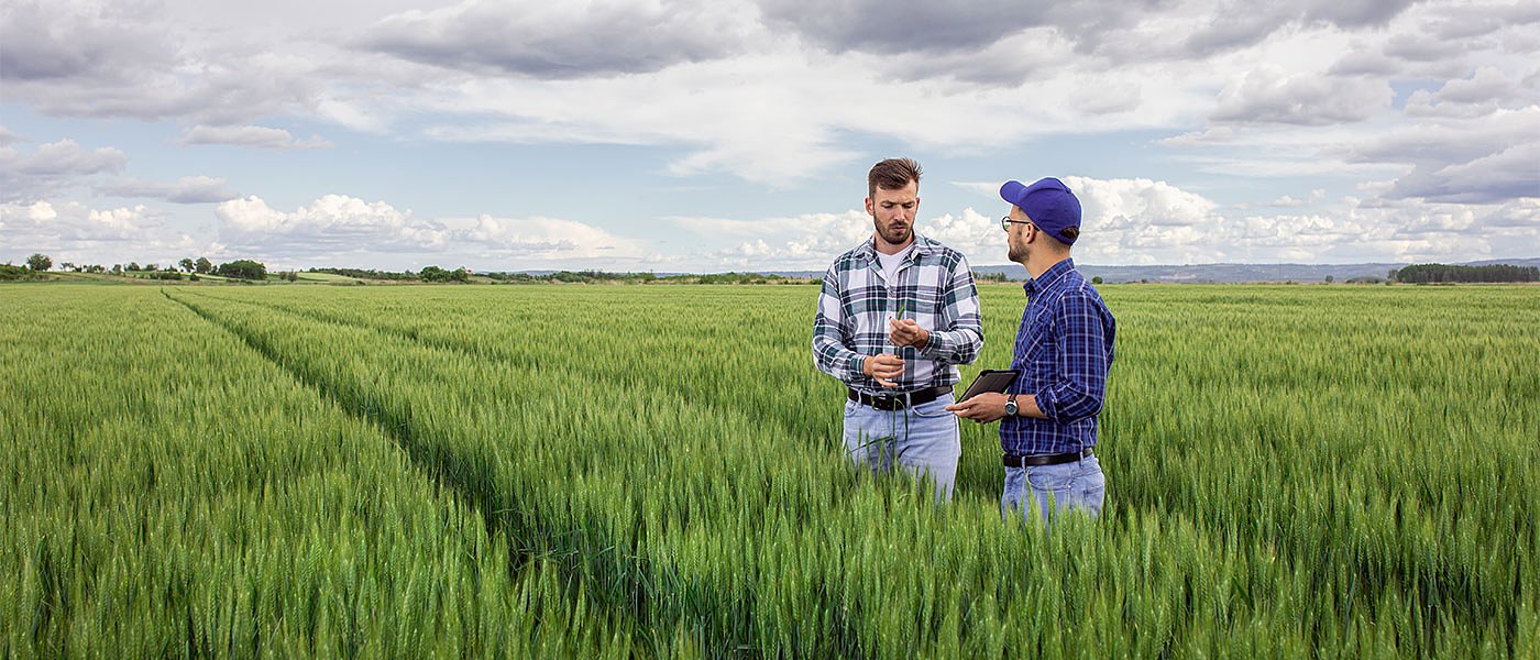 ΠΑΑ: Προγράμματα και ποσά για τη μεταβατική περίοδο 2021-2022