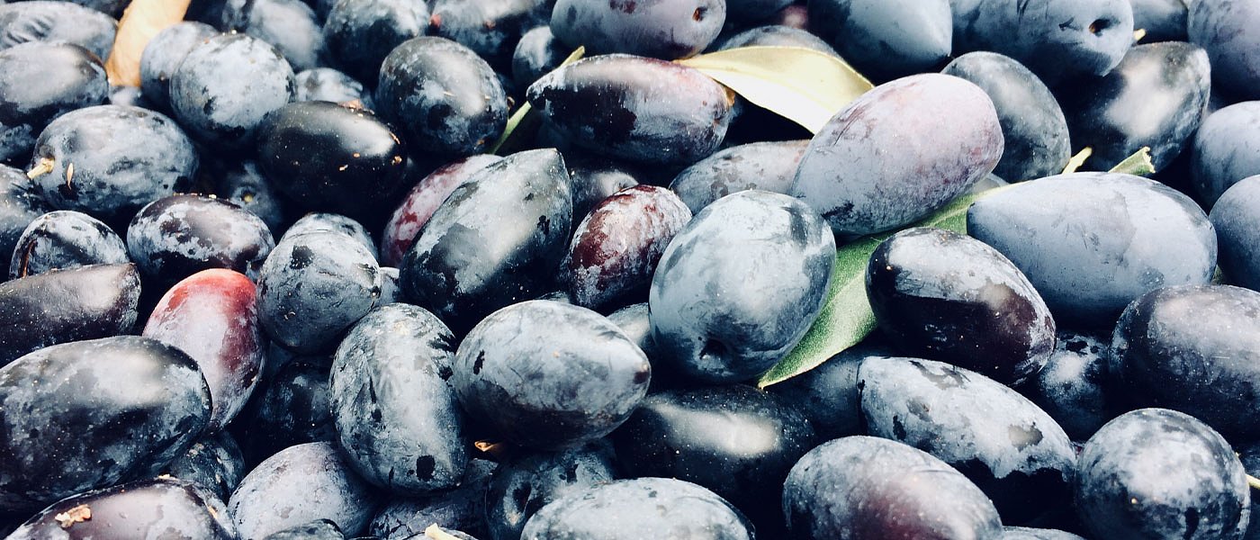 Καθυστερήσεις... παίζει ο Λιβανός για το θέμα του ΠΟΠ στην Ελιά Καλαμάτας