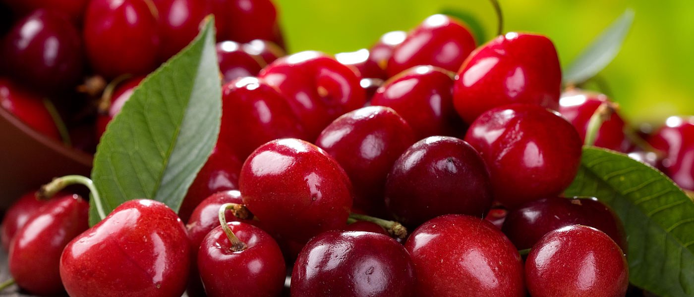 Κεράσια: Ξεκίνησε η συγκομιδή σε ορεινές περιοχές, αυξημένη ζήτηση και καλή εικόνα τιμών