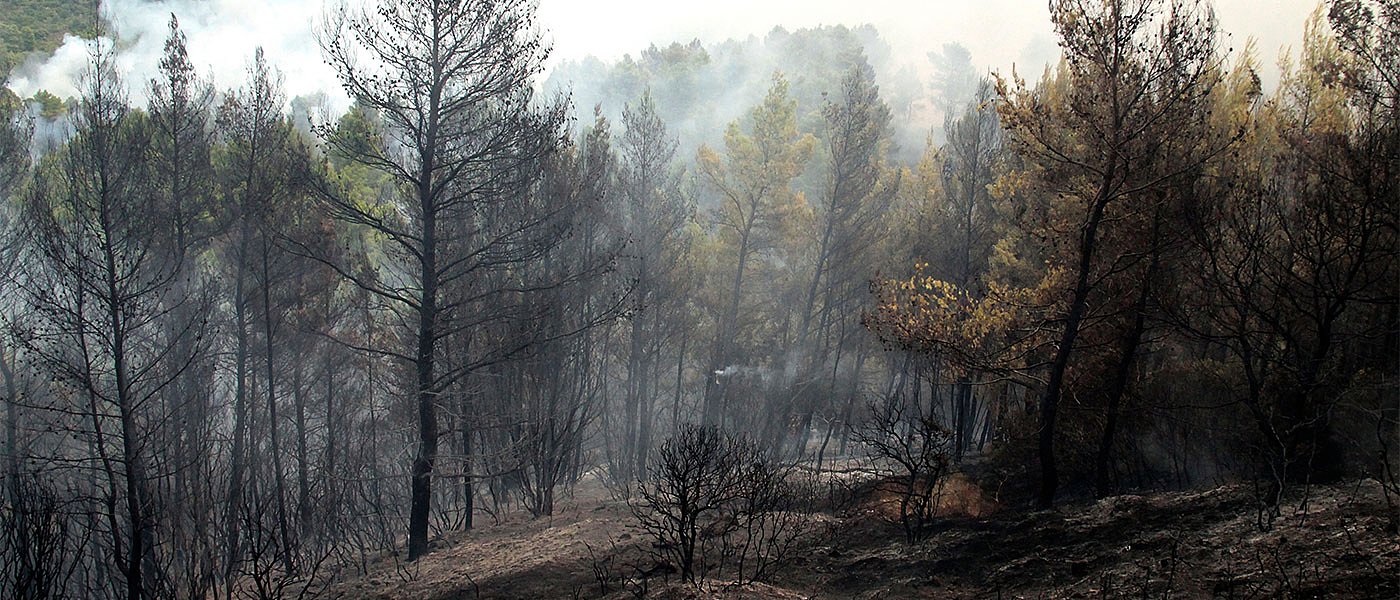 Πριν τα μέσα Μαρτίου στο φως οι μελέτες ανασυγκρότησης της Βόρειας Εύβοιας