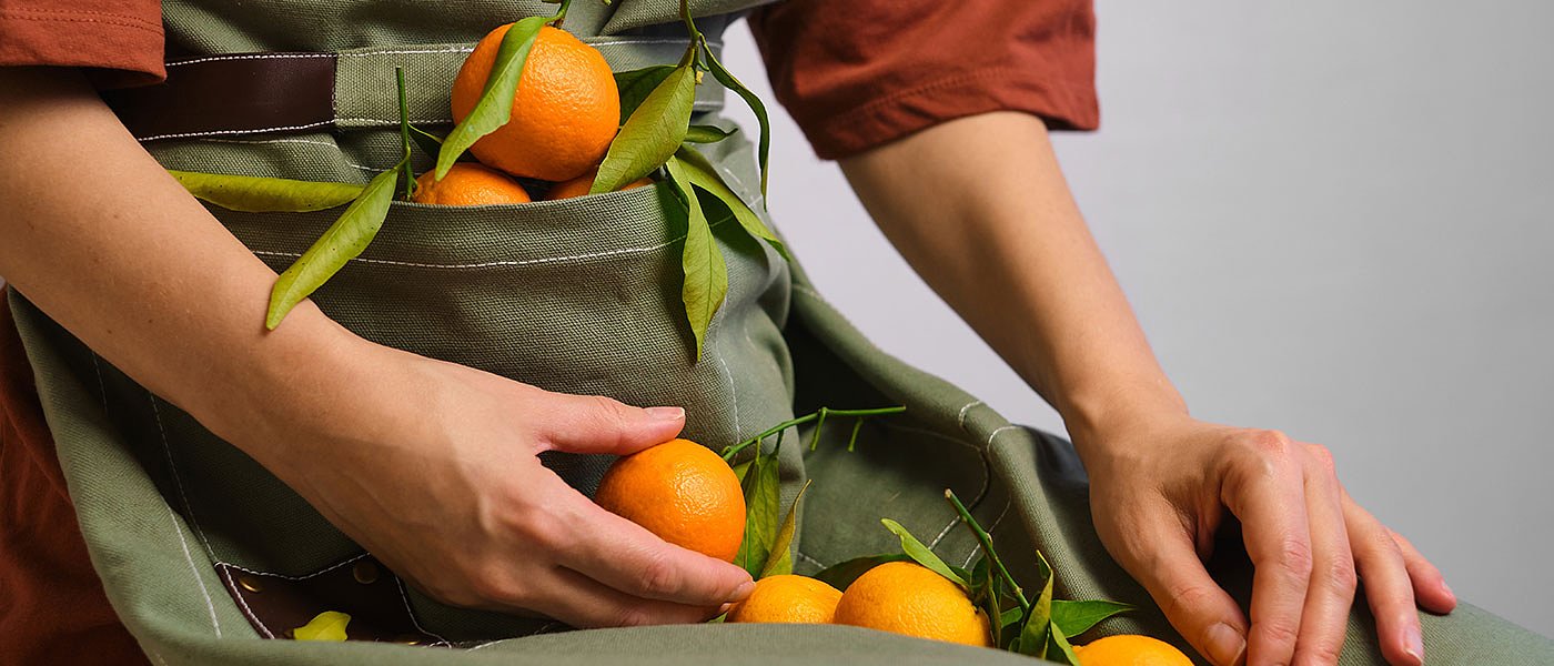 Ξεκίνησαν κοπές πρώιμων μανταρινιών με τιμές από 60 έως 85 λεπτά