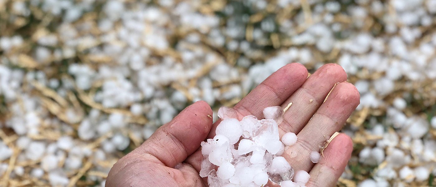 Νέες ζημιές στην Πέλλα, δεν πρόλαβαν να πετάξουν τα αεροπλάνα του ΕΛΓΑ λέει ο Καρασμάνης