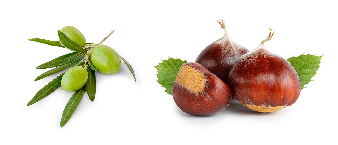 De minimis: 21 ευρώ/στρέμμα στις ελιές Λέσβου και 144 ευρώ/στρέμμα στα κάστανα Πιερίας