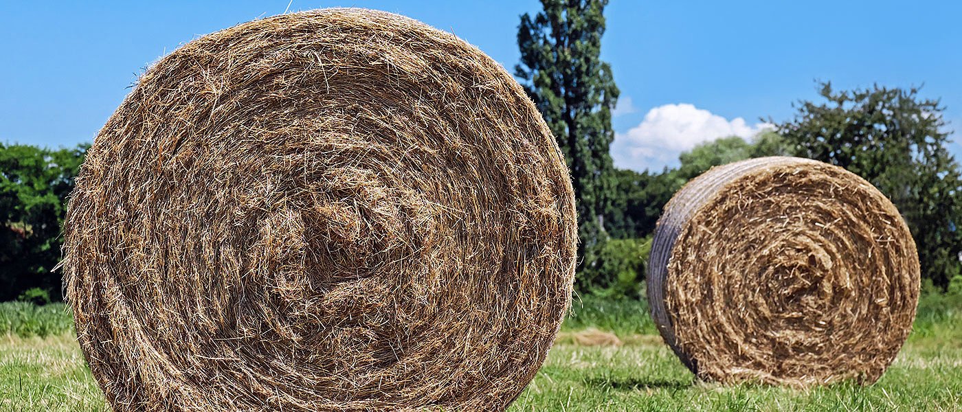 Ενίσχυση για ζωοτροφές: Περισσότεροι θα πάρουν 14 ευρώ/ζώο, θα πληρωθούν και όσοι έχασαν ζωικό κεφάλαιο το 2024