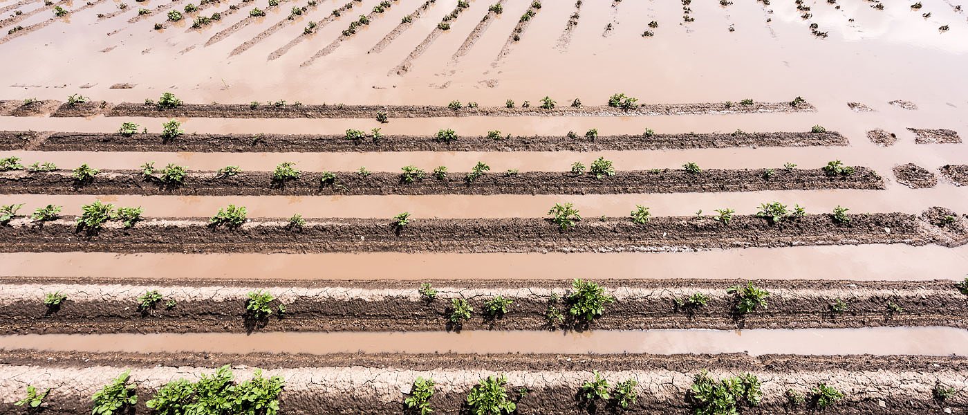 Ιανός: Βιβλικές οι καταστροφές σε αγροτική παραγωγή, φυτικό κεφάλαιο και κτηνοτροφία