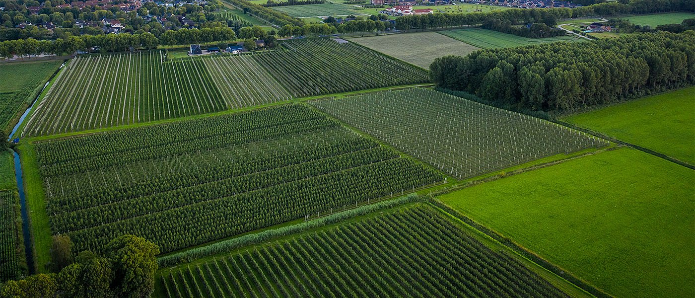 Σε ομηρία χιλιάδες αγρότες μετά την κύρωση των δασικών χαρτών, χάνονται περιουσίες