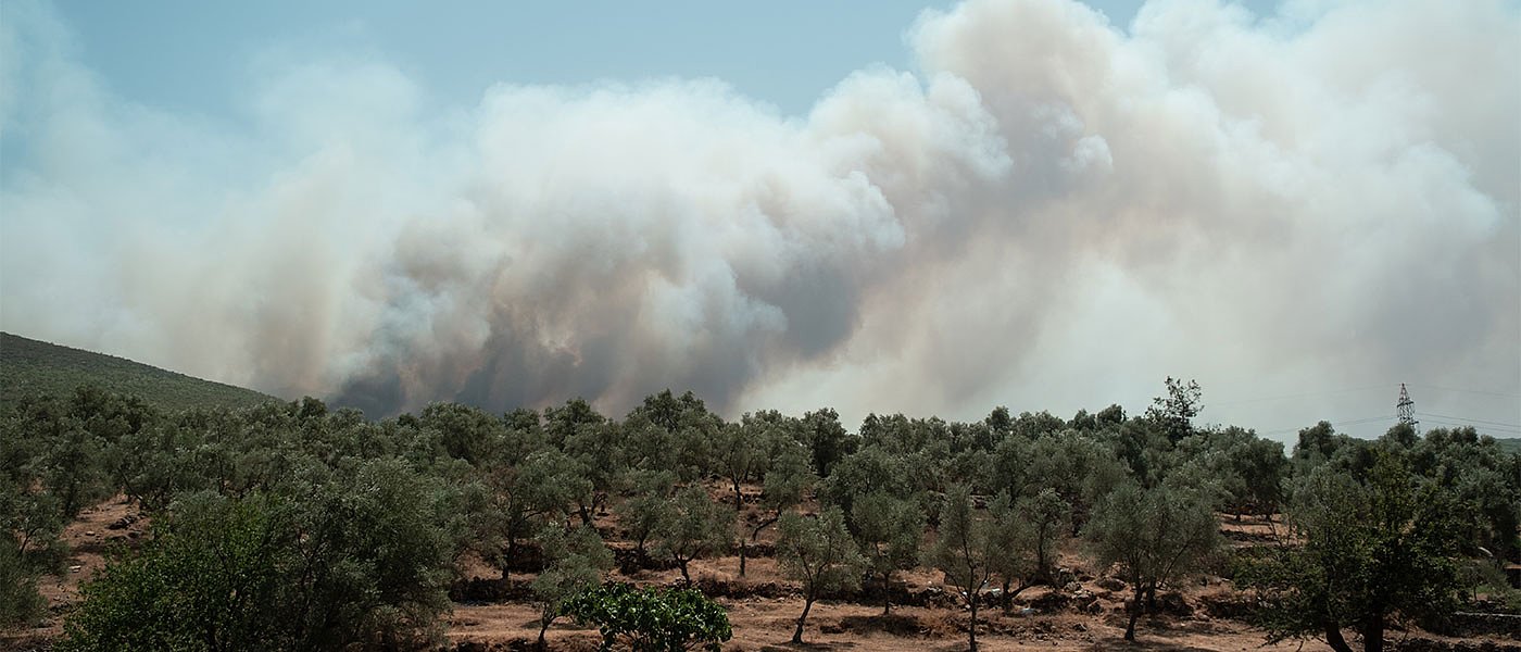 Δεν θα απενταχθούν πυρόπληκτοι από προγράμματα λόγω απώλειας ζωικού ή φυτικού κεφαλαίου