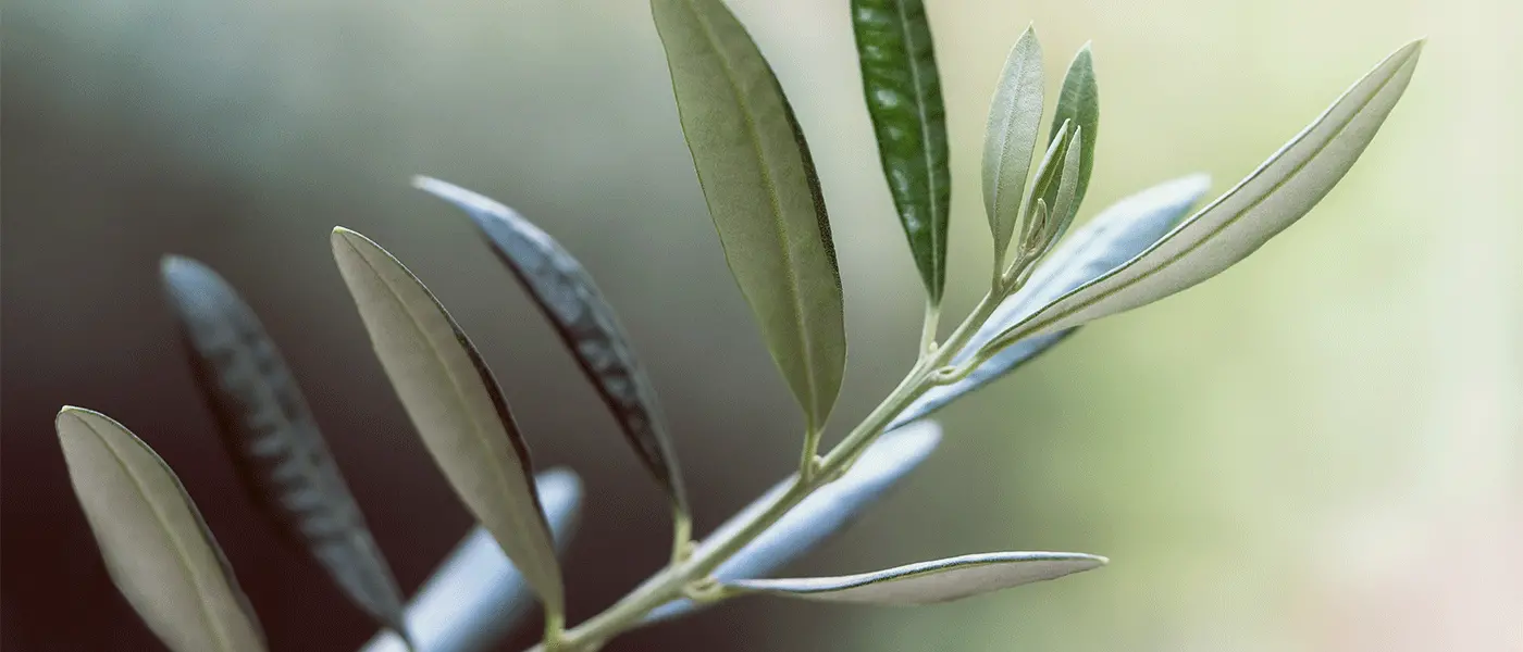 Στήριξη για την ακαρπία ζητά ο Λιβανός από ΕΕ, μέτρα και για την κτηνοτροφία