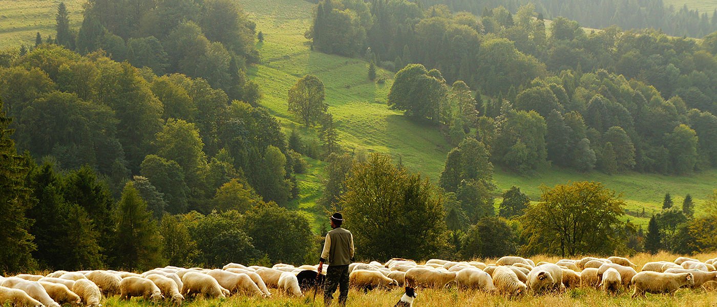 Η εξάπλωση της ευλογιάς στην Ελλάδα