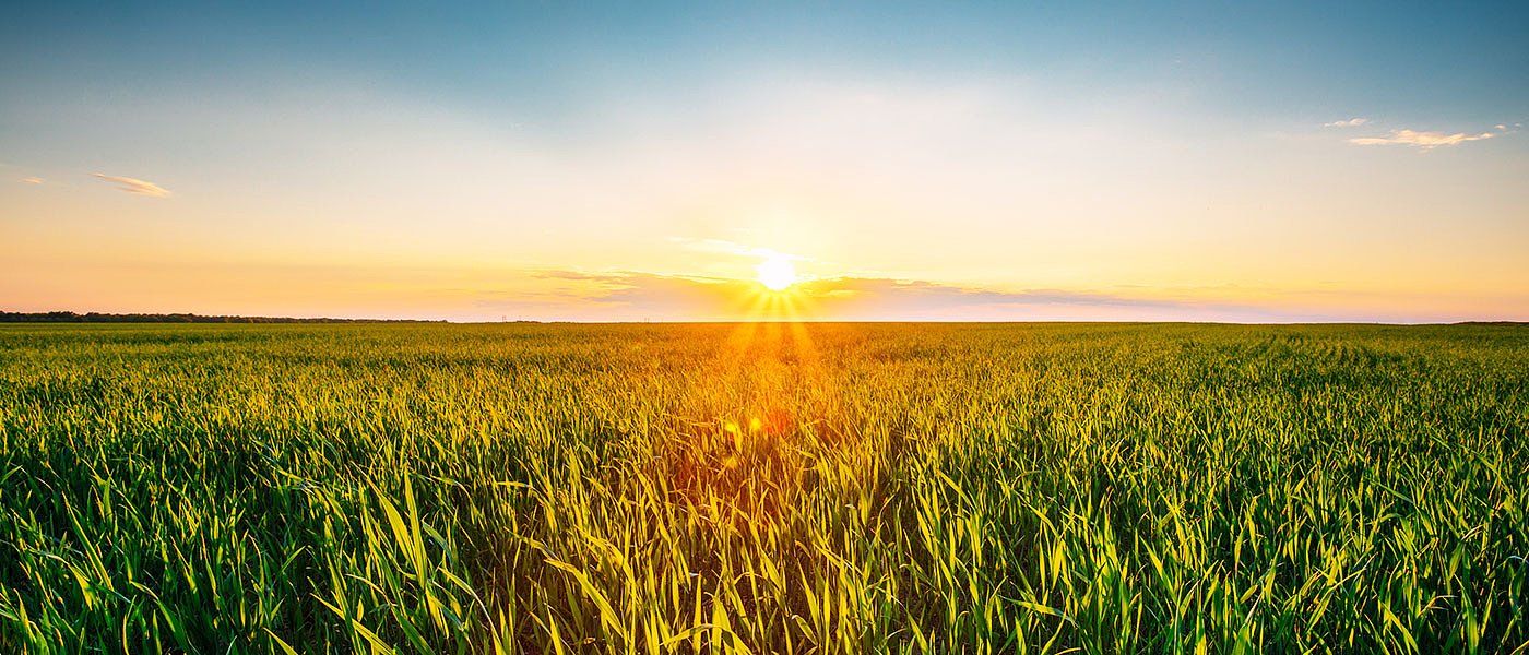 Crop Docs 3: Νέα εποχή στην φυτοπροστασία των σιτηρών